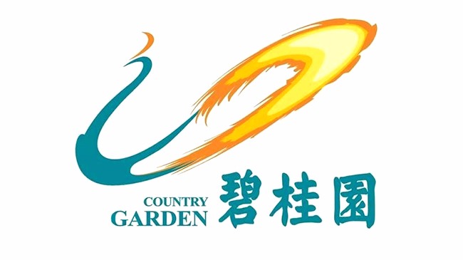 碧桂園集團